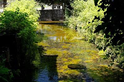 老野湧水