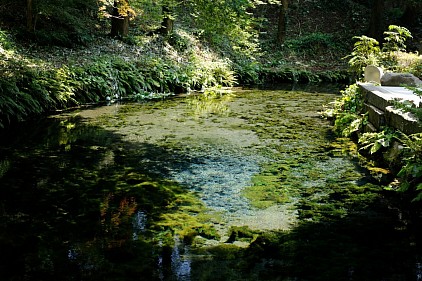 白川湧水