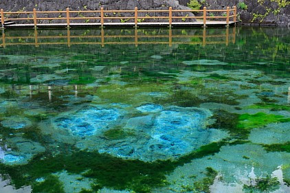 丸池湧水