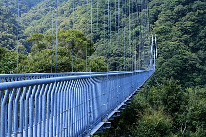 綾の吊り橋