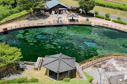 丸池湧水