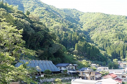 椎葉村