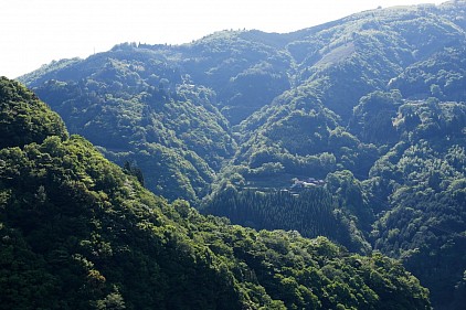 椎葉村